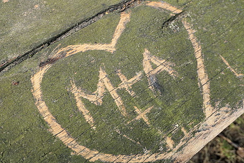 下雨天暖心撩人情话文案