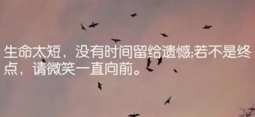 用飞快地造一个句子文案