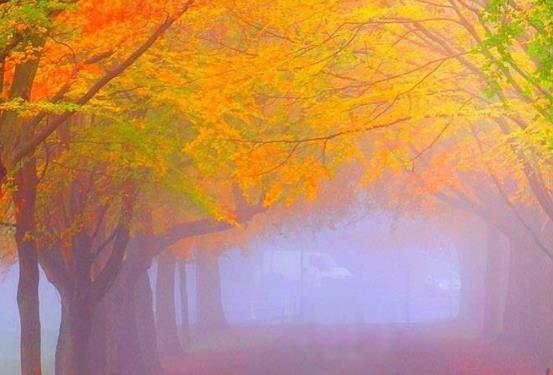 好句文案大全10字小学生二年级