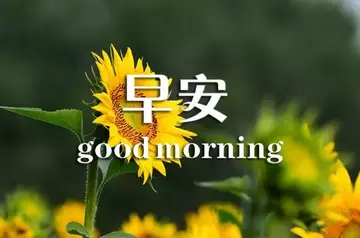夏天早安问候语简短一句话