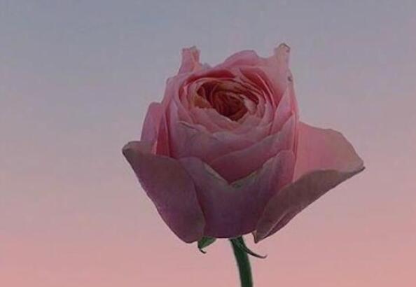 发朋友圈励志的话的男人