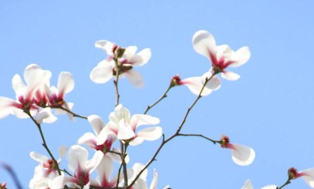 关于正能量的句子文案