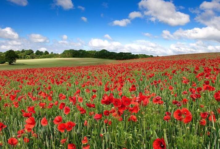 欢迎回家的幽默短句