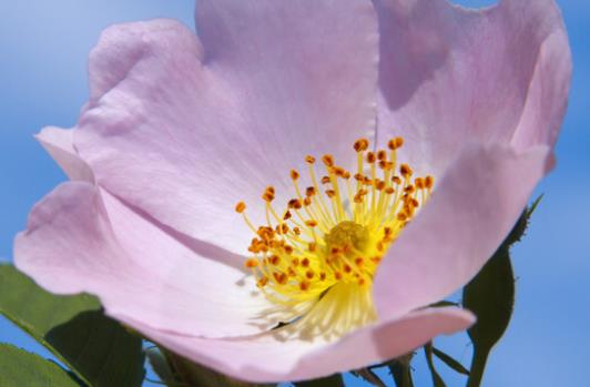 抖音走心文案说说