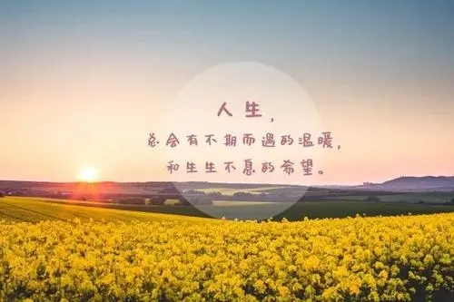 朋友圈精辟的人生感悟短句