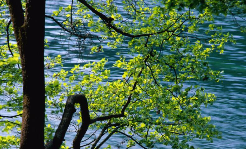 名人名言短句大全摘抄