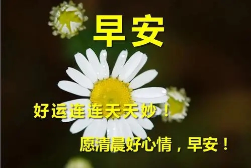 唯美早上好的句子文案