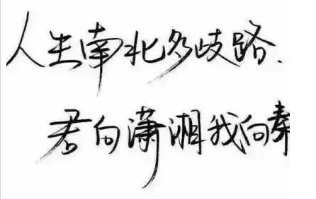 带南北二字的短句