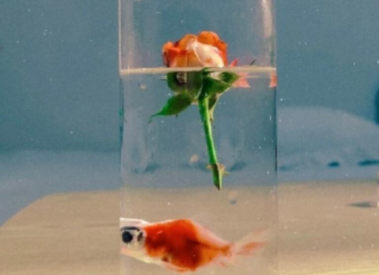 微信群发早安问候语