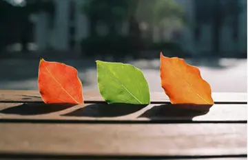 四年级家长的话40字