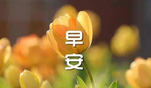 早上的关心问候语