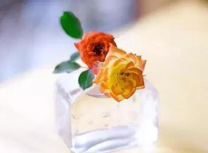 什么是鸡汤语录文案