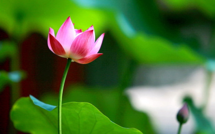 描写颜色的句子文案有哪些短句