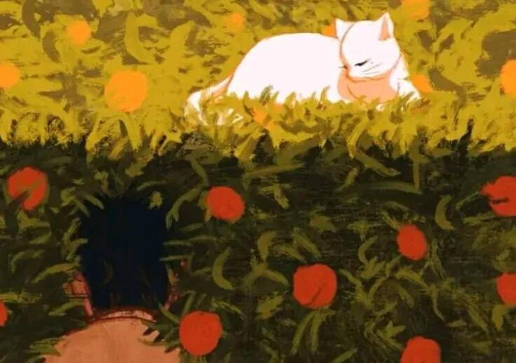 关心别人的优美句子文案