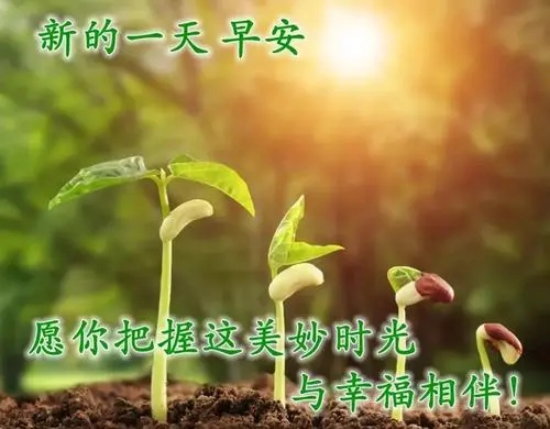 美好的一天祝福语