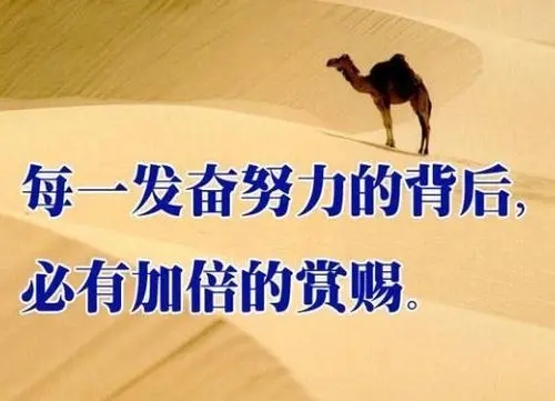 为了生活而奋斗的句子文案