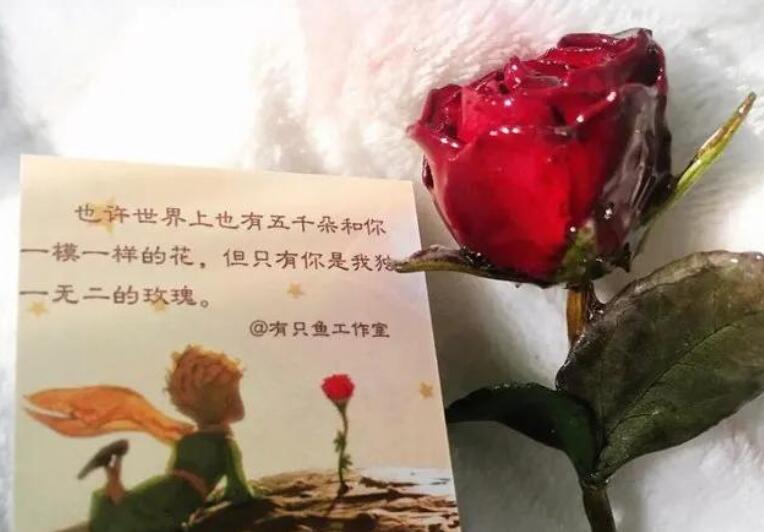 关于玫瑰花的爱情句子文案