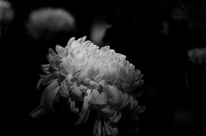 爸爸一路走好的哀悼句子文案