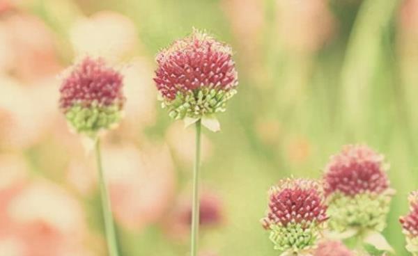 适合发qq的伤感说说文案