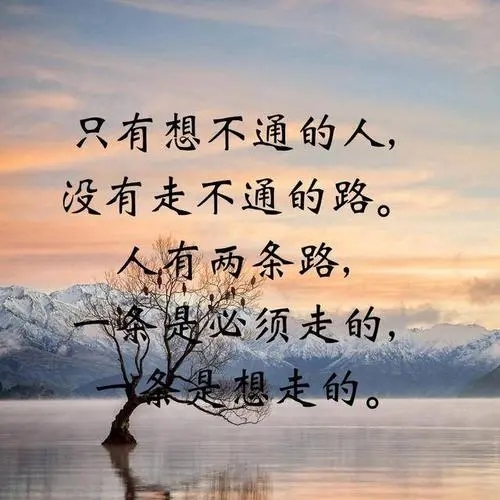 赞扬人有才华的句子文案