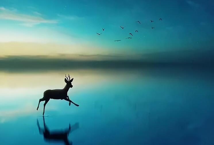 微语录文案精选经典语录文案励志