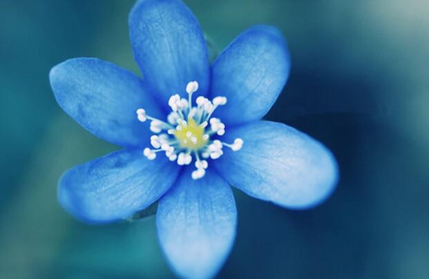 写一写其他颜色的句子文案