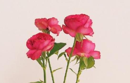 2021时间的朋友经典语录文案