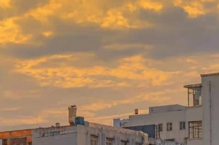 有关热爱小说的文案