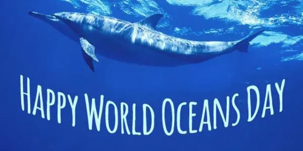 保护海洋环境的英语句子文案