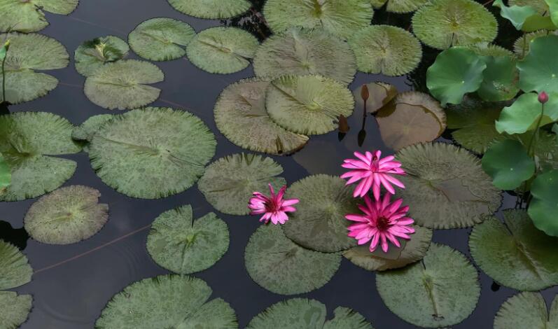 句子文案控摘抄