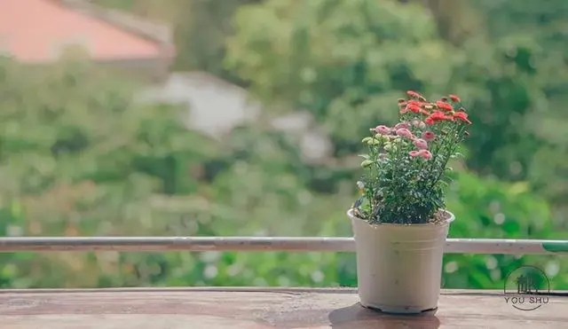 2024年最幸福的一句话