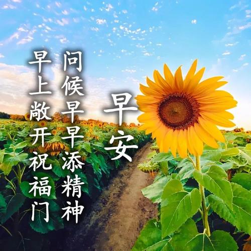 最新早上好暖心祝福问候语句文案