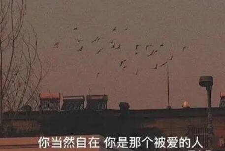 有内涵的深夜句子文案冷酷