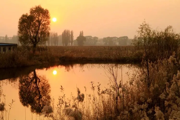 描写家乡的优美句子文案