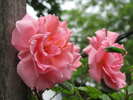 不辜负彼此的句子文案