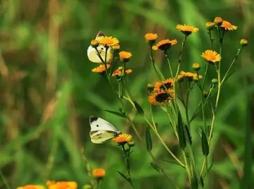 休息过的好快句子文案