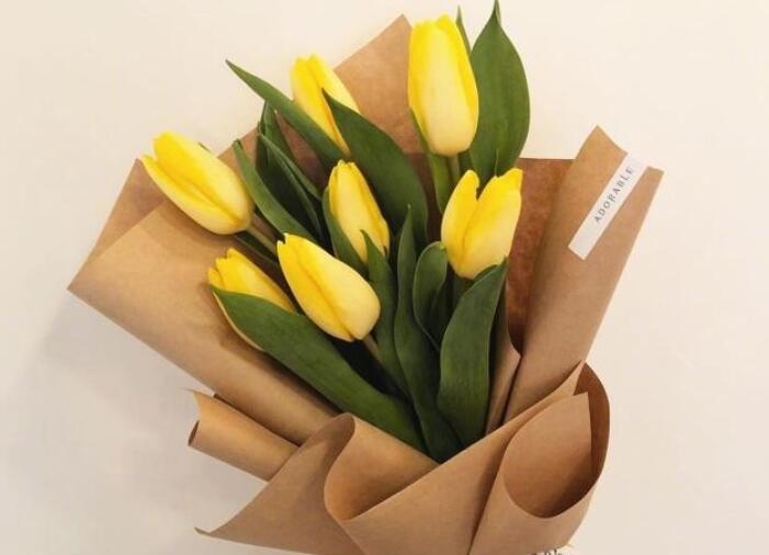 教师节语录文案短句