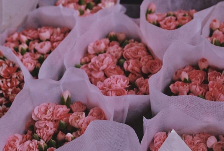 网络小说名言经典语句文案