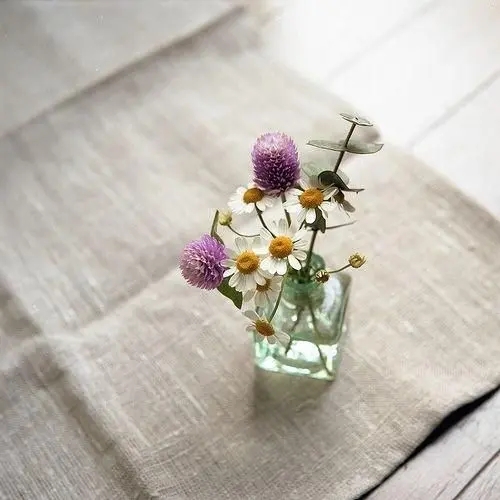 人生何处不相逢唯美经典句子文案