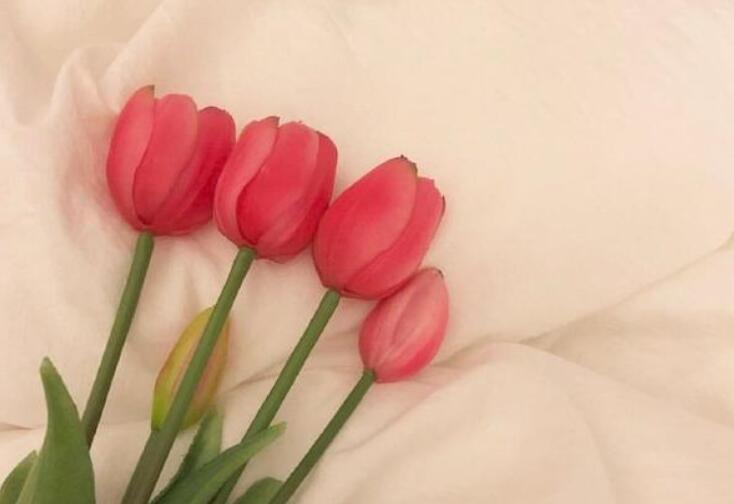 追妹子的情话文案大全短句