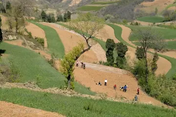 重回故地的感慨句子文案