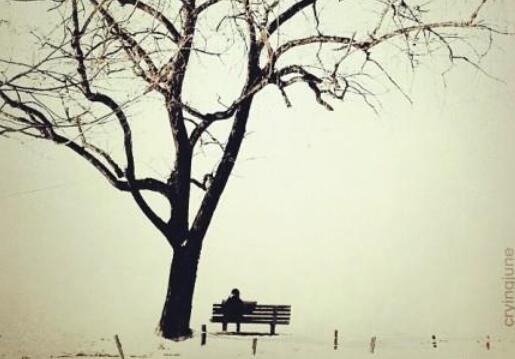 感人语录文案关于生活