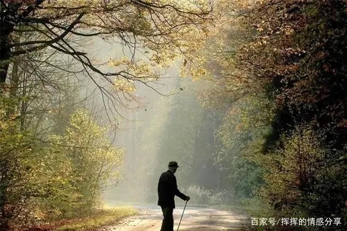 痛失爷爷痛苦心情的句子文案