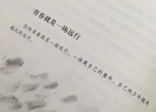 文案温柔的句子文案