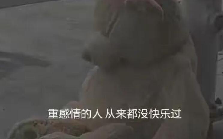 男人孤寂沧桑的语录文案