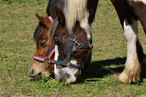 疼到骨子里的伤感句子文案