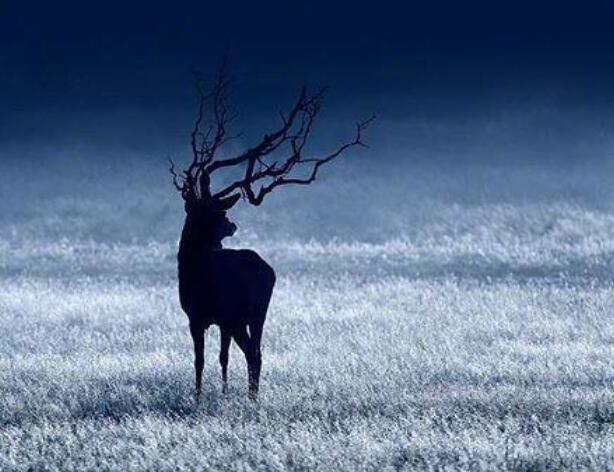 表示心累的句子文案致自己
