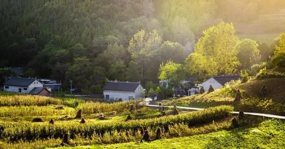 乡村美景的简洁句子文案