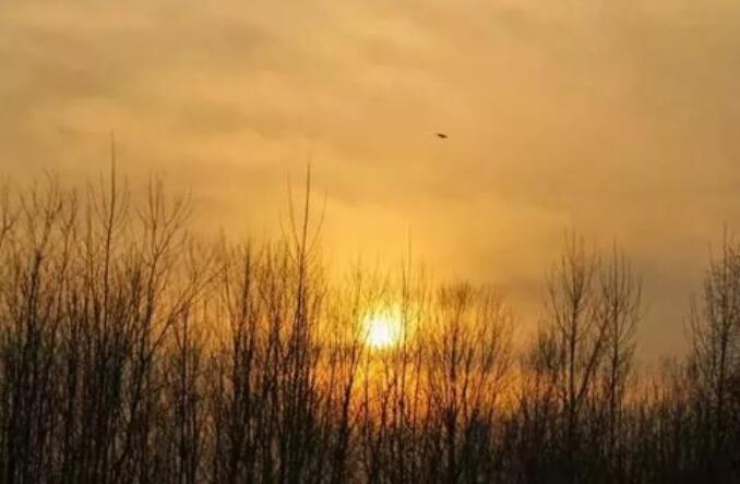 形容人情世故寒人心的诗句文案