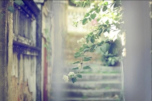 个性签名女生简单气质2024